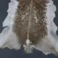 Natural goatskin rug with a brown speckled centre and cream edges.