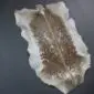 Natural goatskin rug with cream edges and a mottled brown and tan centre, shown from an overhead angle.