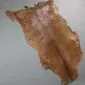 Natural tan and brown goatskin rug with a dark dorsal stripe and irregular edges.
