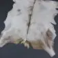 Natural goatskin rug with white fur, a dark brown dorsal stripe, and tan markings on an irregular hide shape.
