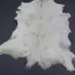 Goatskin Rug G1081 (1) Natural white goatskin rug with grey and tan markings and an irregular shape.