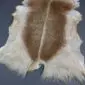 Goatskin Rug G1088 (1) Natural goatskin rug with long cream fur and a central brown stripe.