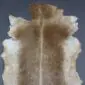 Goatskin Rug G1088 (3) Natural goatskin rug with cream and light brown fur, featuring a dark dorsal stripe and irregular edges.