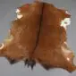 Goatskin Rug G1089 (1) Natural goatskin rug with brown fur, a dark dorsal stripe, and white patches on the edges.