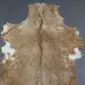 Natural goatskin rug with tan and brown mottled fur, featuring a dark dorsal stripe and white patches at the edges.
