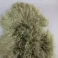 Khaki Mongolian lambskin rug with long, curly wool texture.