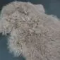 IMG_3528 Camel-coloured Mongolian lambskin rug with long, curly wool fibres.