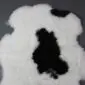 Shorn Icelandic sheepskin rug with natural white wool and large black markings in a unique organic shape.