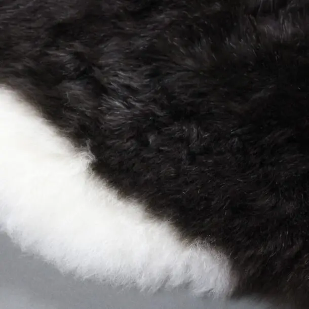 Natural Icelandic Sheepskin Rug Shorn IMX137-SHORN