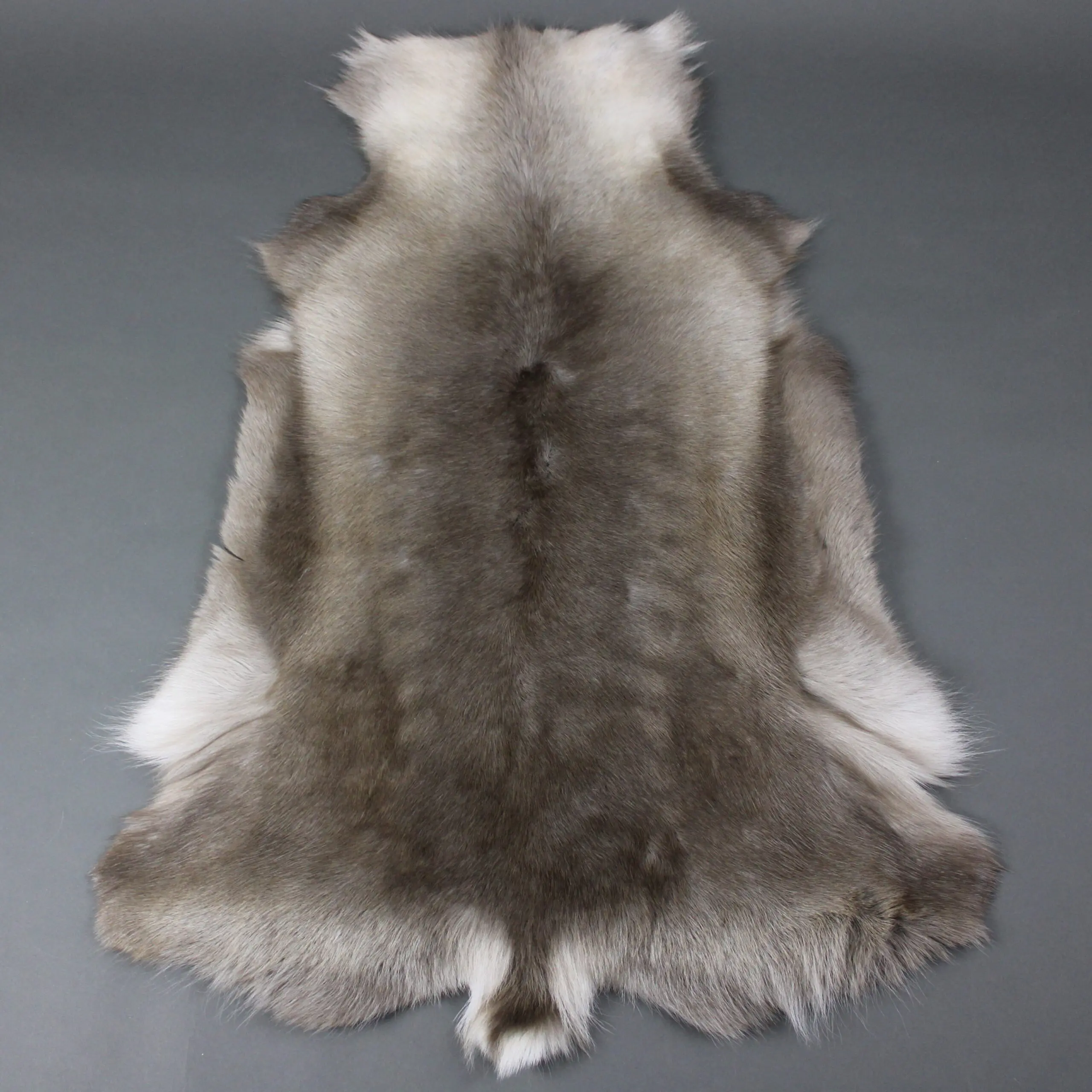Reindeer Hide Rug R1139