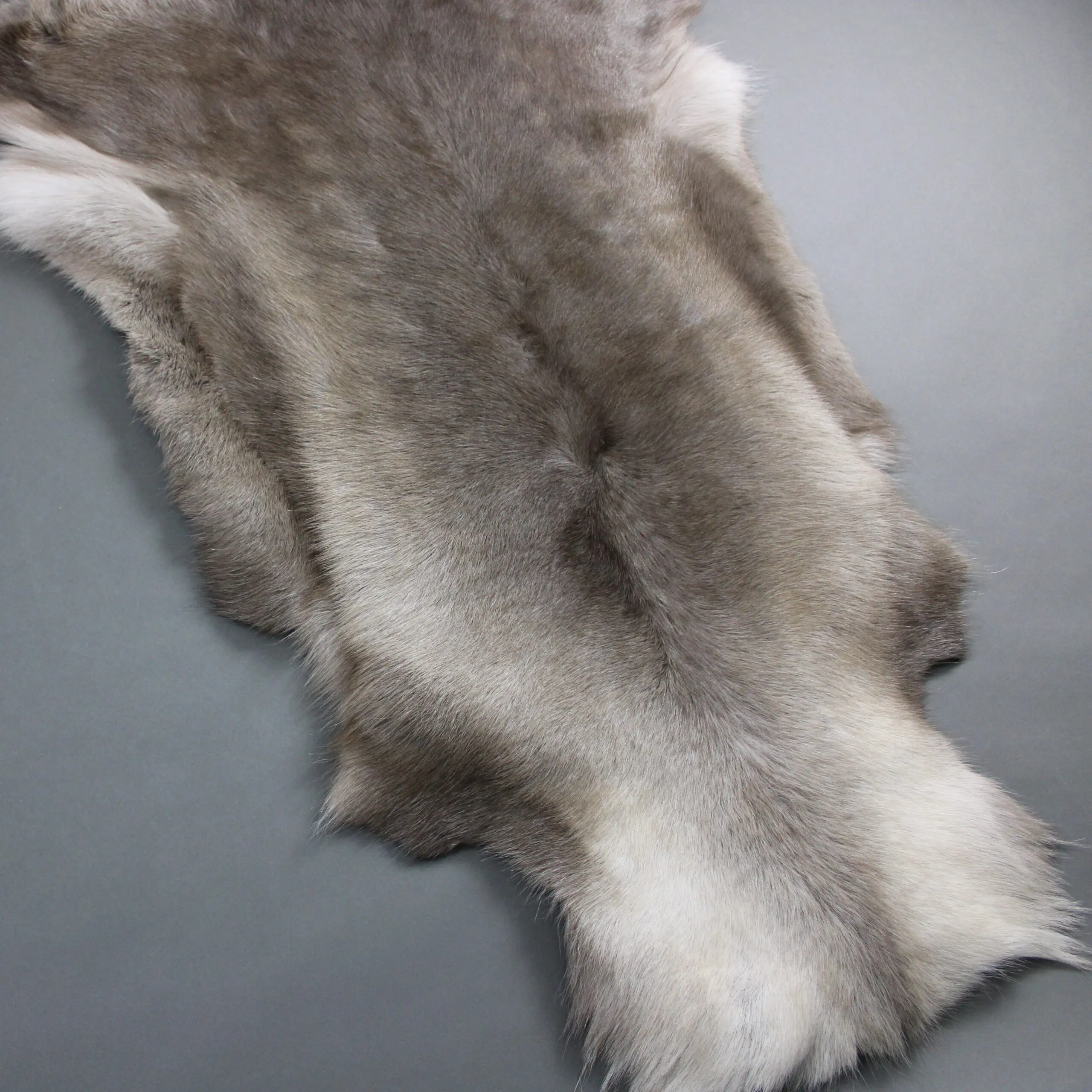 Reindeer Hide Rug R1139