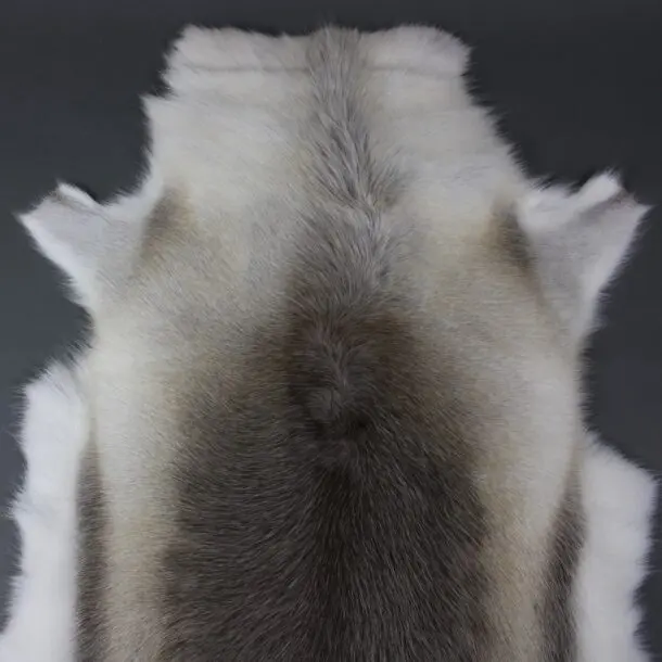 Reindeer Hide Rug R1140