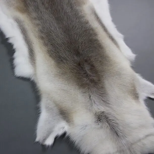 Reindeer Hide Rug R1140