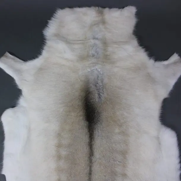 Reindeer Hide Rug R1141