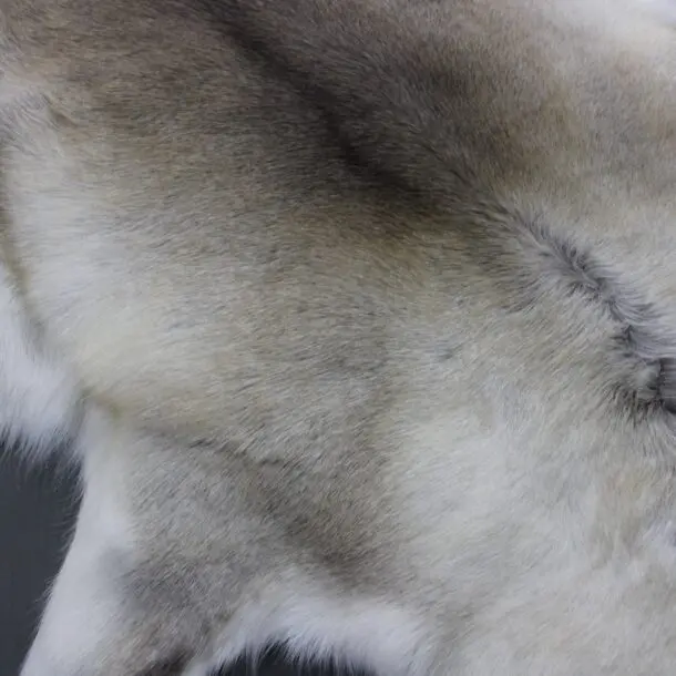 Reindeer Hide Rug R1143