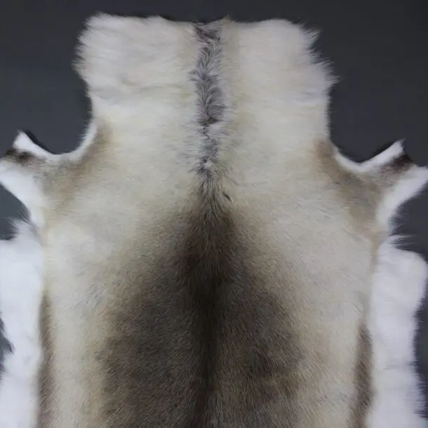 Reindeer Hide Rug R1144