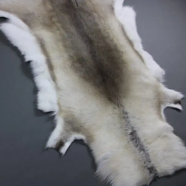 Reindeer Hide Rug R1144
