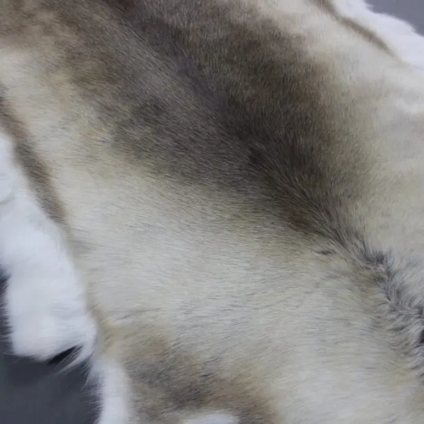 Reindeer Hide Rug R1144