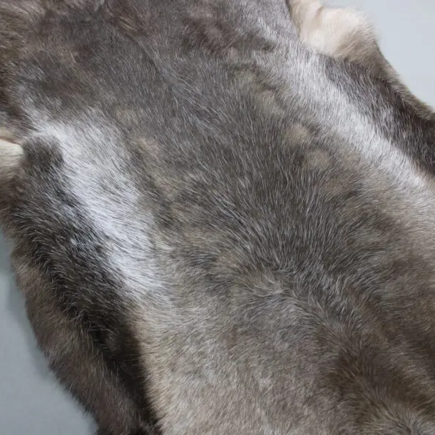 Reindeer Hide Rug R1146