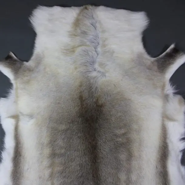 Reindeer Hide Rug R1150