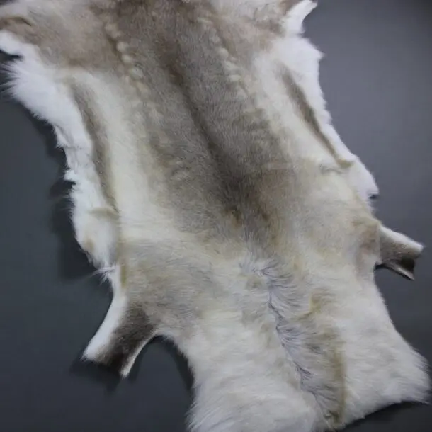 Reindeer Hide Rug R1150