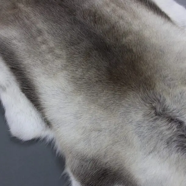 Reindeer Hide Rug R1152
