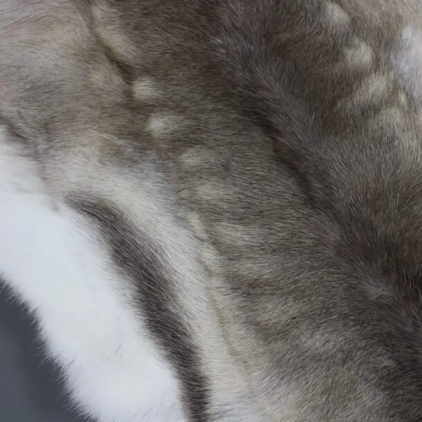 Reindeer Hide Rug R1154