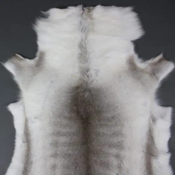 Reindeer Hide Rug R1155