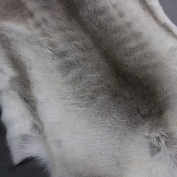 Reindeer Hide Rug R1155