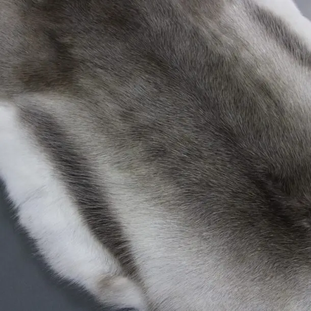 Reindeer Hide Rug R1159