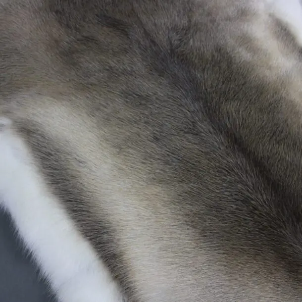 Reindeer Hide Rug R1160