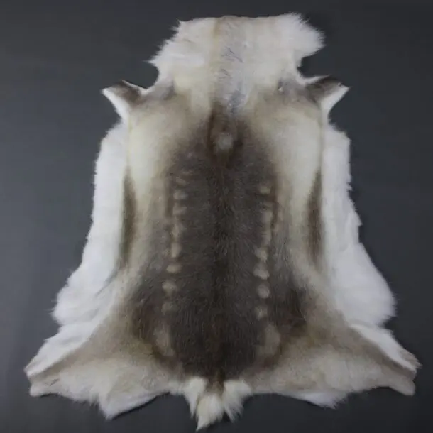 Reindeer Hide Rug R1164