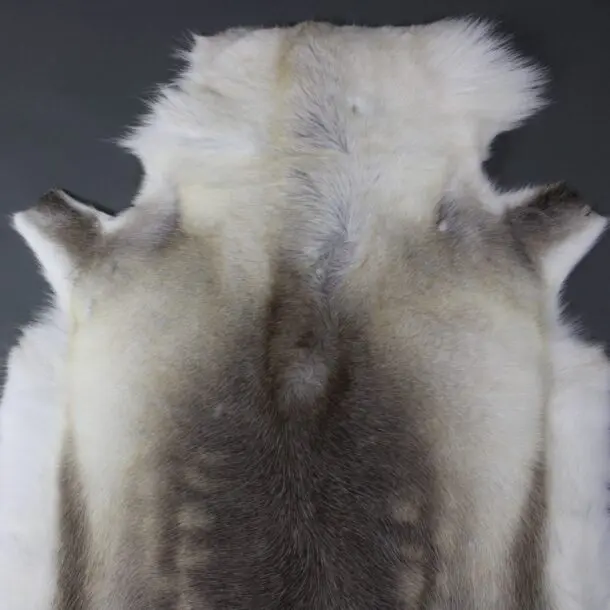 Reindeer Hide Rug R1164