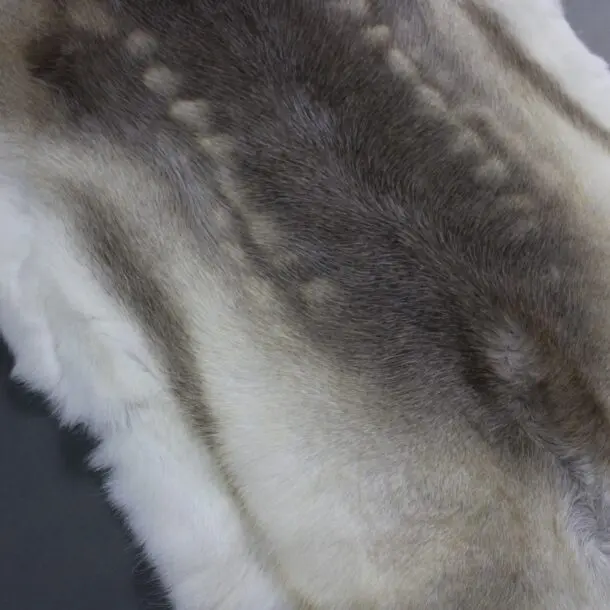 Reindeer Hide Rug R1164