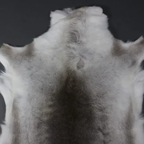 Reindeer Hide Rug R1165