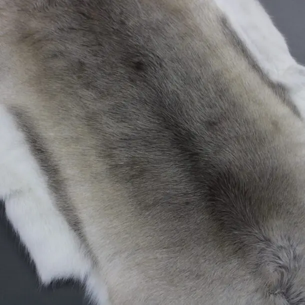 Reindeer Hide Rug R1166