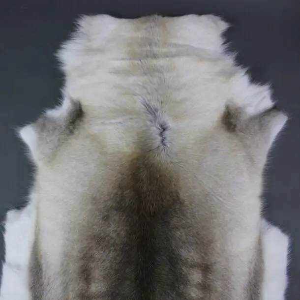 Reindeer Hide Rug R1168