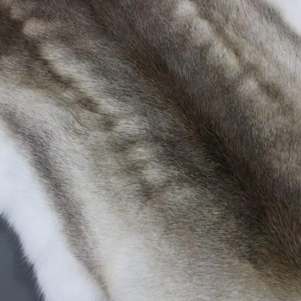 Reindeer Hide Rug R1168