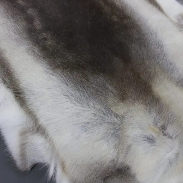 Reindeer Hide Rug R1169