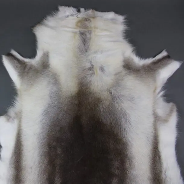 Reindeer Hide Rug R1169