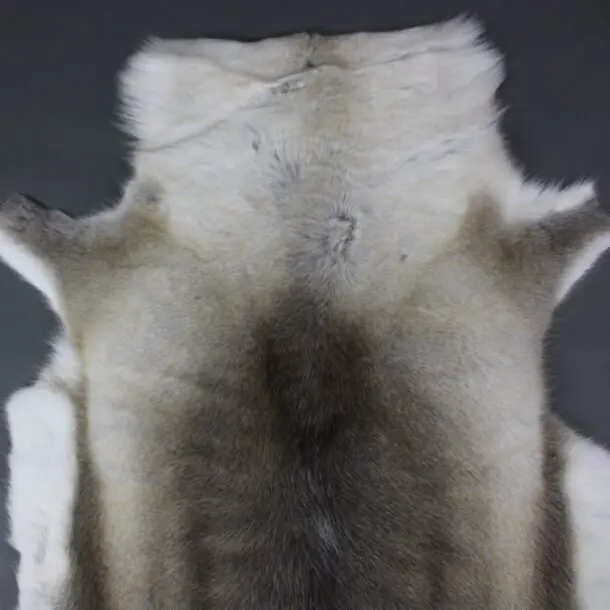 Reindeer Hide Rug R1171