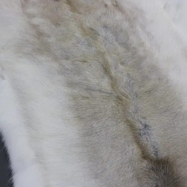 Reindeer Hide Rug R1172