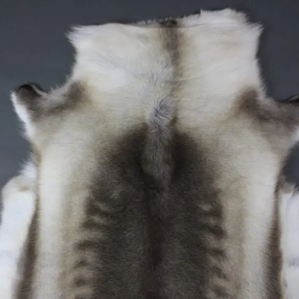 Reindeer Hide Rug R1173