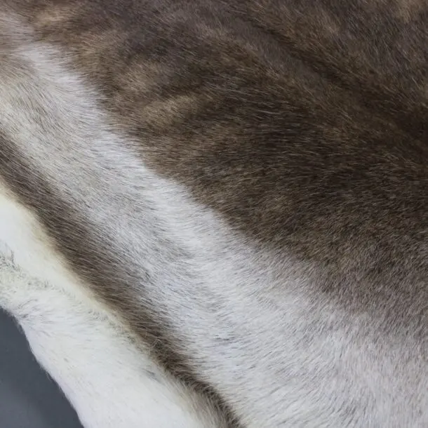X Large Reindeer Hide Rug R1174