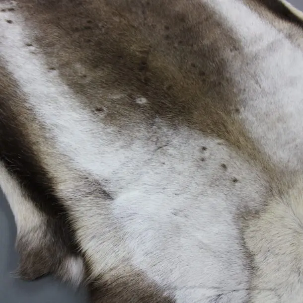 XX Large Reindeer Hide Rug R1175