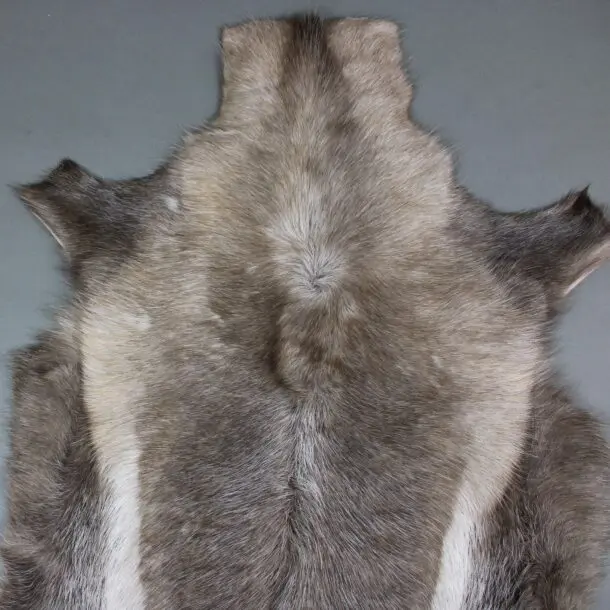 Reindeer Hide Rug R1178