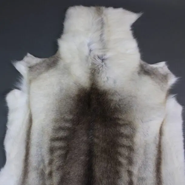 Reindeer Hide Rug R1179