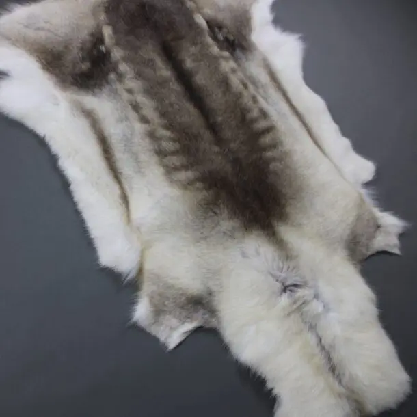 Reindeer Hide Rug R1179