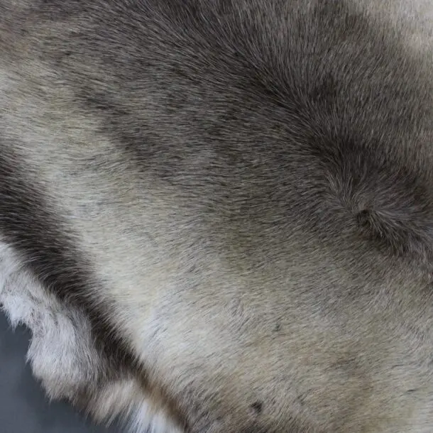 Large Reindeer Hide Rug R1182