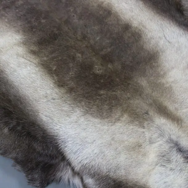 XX Large Reindeer Hide Rug R1185